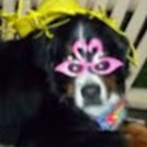 Meet your Posher, Vicki